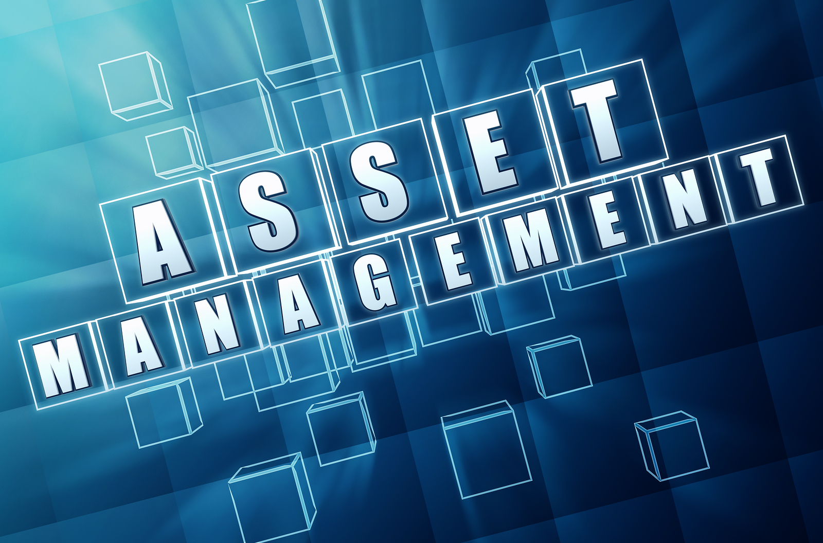 Webzap Technologies Online Asset Management Software
